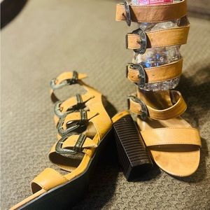 Staphylococcus ankle shoes